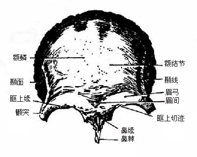 ǣǰ棩