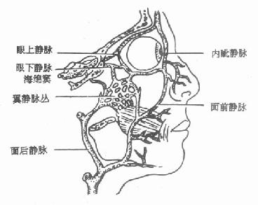 沿뺣Ľͨ