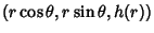 $(r\cos\theta, r\sin\theta, h(r))$