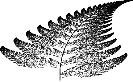 \begin{figure}\begin{center}\BoxedEPSF{barnsleys_fern.epsf}\end{center}\end{figure}