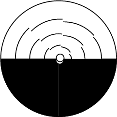 \begin{figure}\begin{center}\BoxedEPSF{BenhamsWheel.epsf}\end{center}\end{figure}