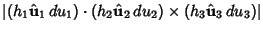 $\displaystyle \vert(h_1{\hat {\bf u}}_1\,du_1)\cdot(h_2{\hat {\bf u}}_2\,du_2)\times(h_3{\hat {\bf u}}_3\,du_3)\vert$