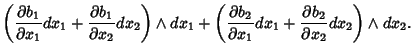 $\displaystyle \left({{\partial b_1\over\partial x_1}dx_1+{\partial b_1\over\par...
...2\over\partial x_1}dx_1+{\partial b_2\over\partial x_2}dx_2}\right)\wedge dx_2.$