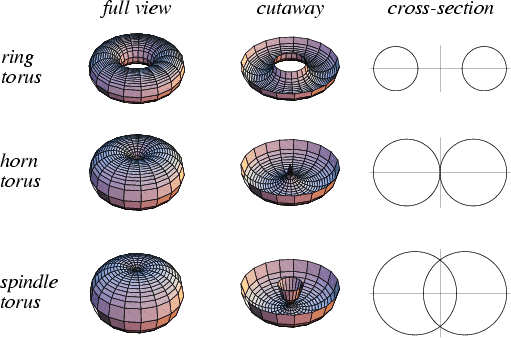 \begin{figure}\begin{center}\BoxedEPSF{StandardTori.epsf scaled 700}\end{center}\end{figure}